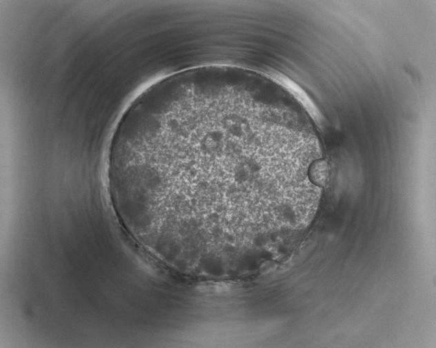 X0000116441051201001051201