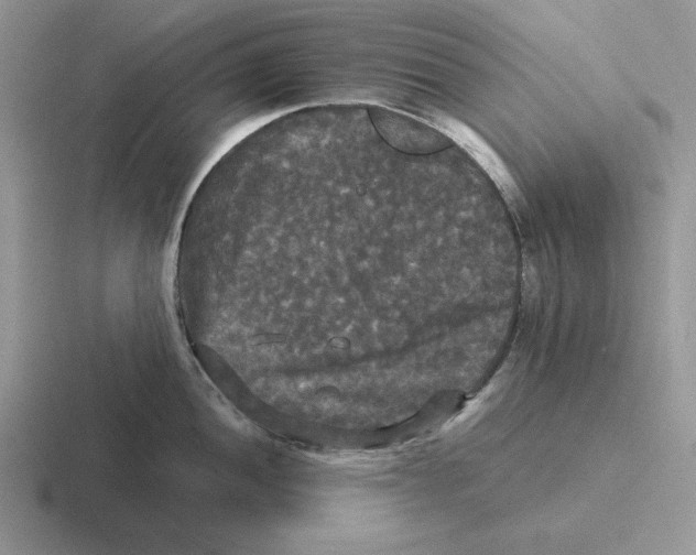 X0000116441052201001051201