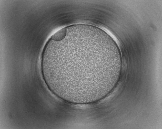 X0000116441053201001051201