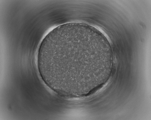 X0000116441054201001051201