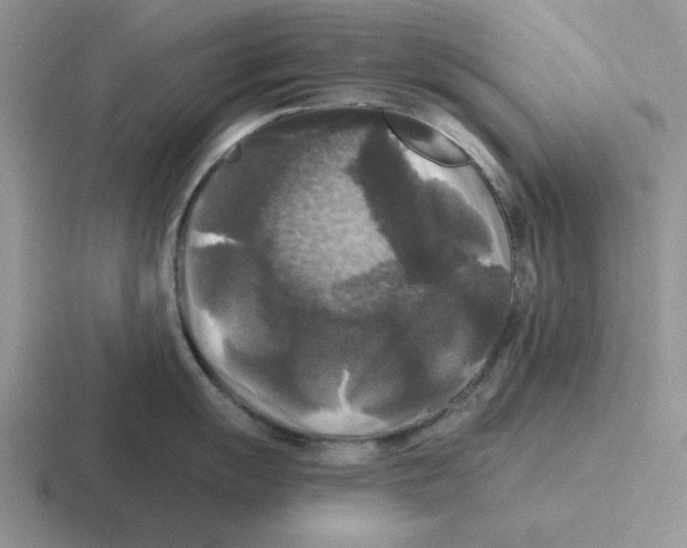 X0000116441055201001051201