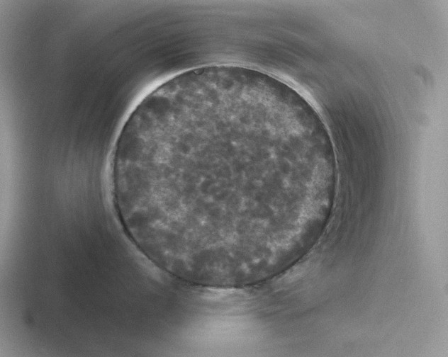 X0000116441056201001051201