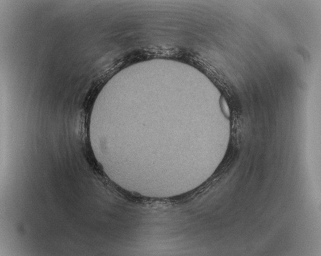 X0000116441058201001051200