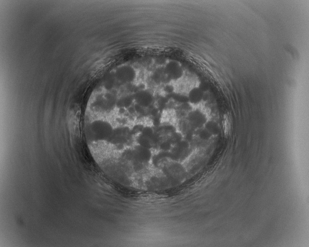 X0000116441059201001051200