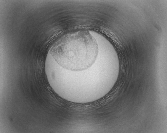 X0000116441060201001051200