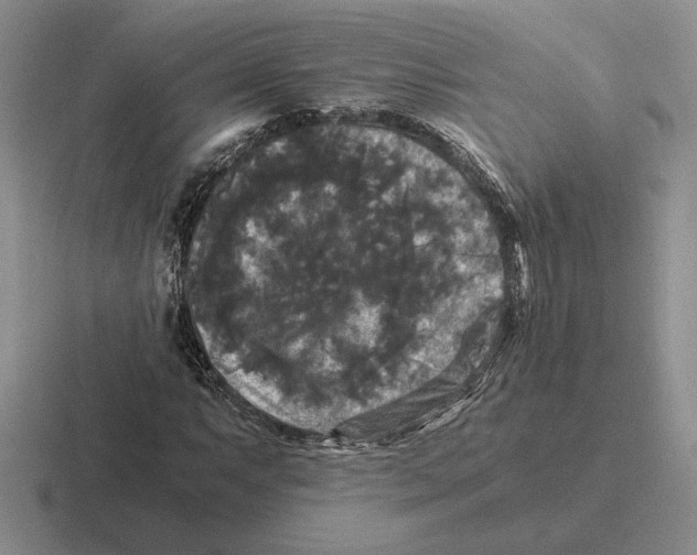 X0000116441063201001051200