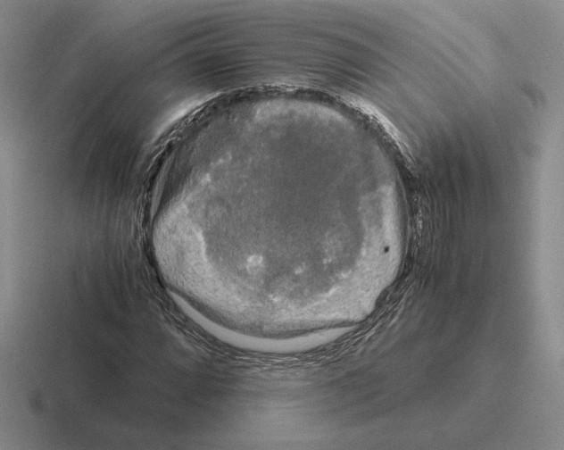 X0000116441064201001051200