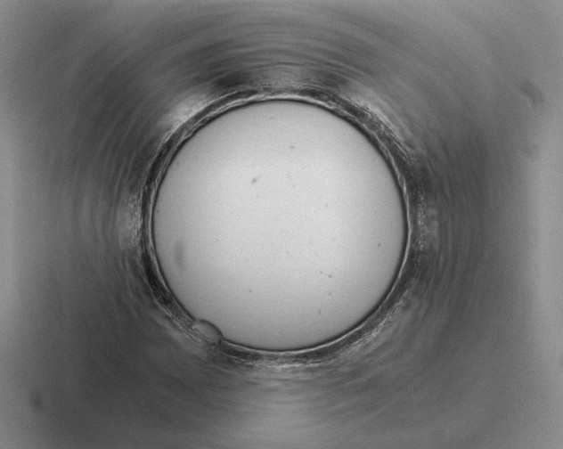 X0000116441065201001051200