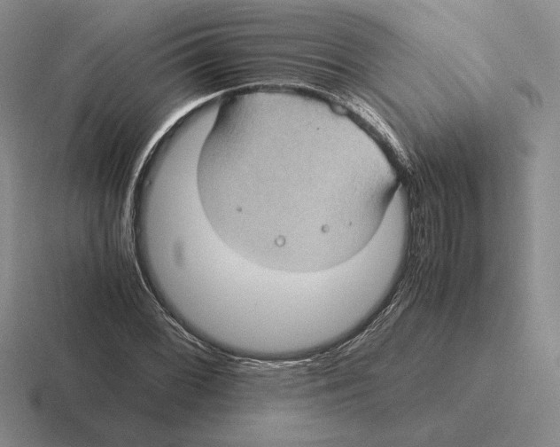 X0000116441068201001051200