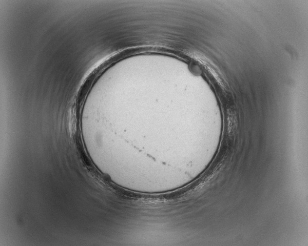 X0000116441069201001051200