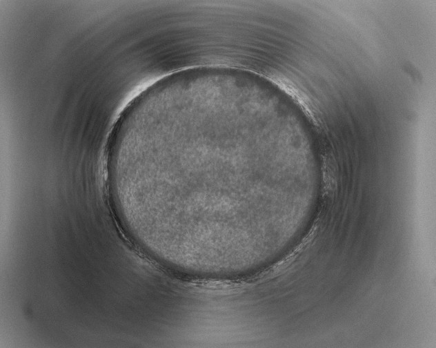 X0000116441070201001051200