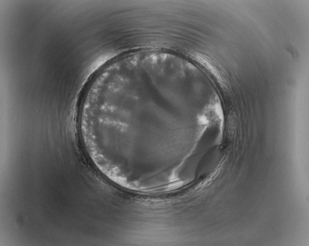 X0000116441071201001051200