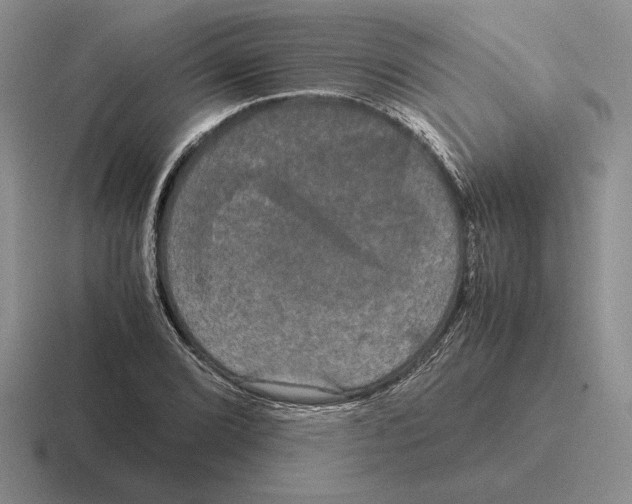 X0000116441072201001051200