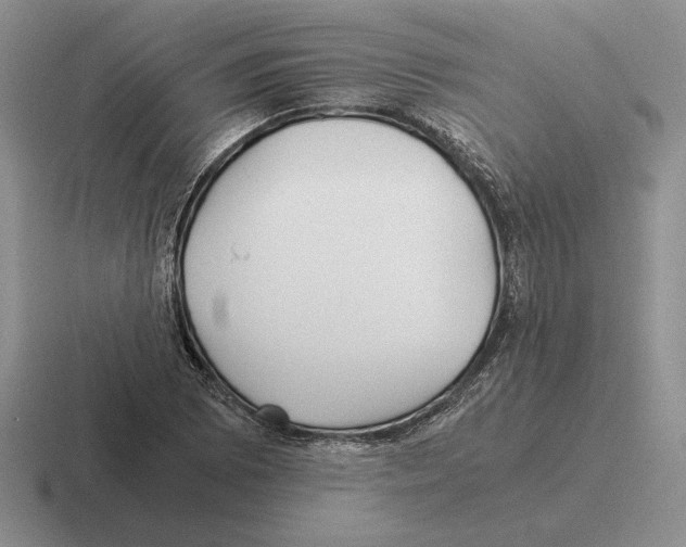 X0000116441073201001051200