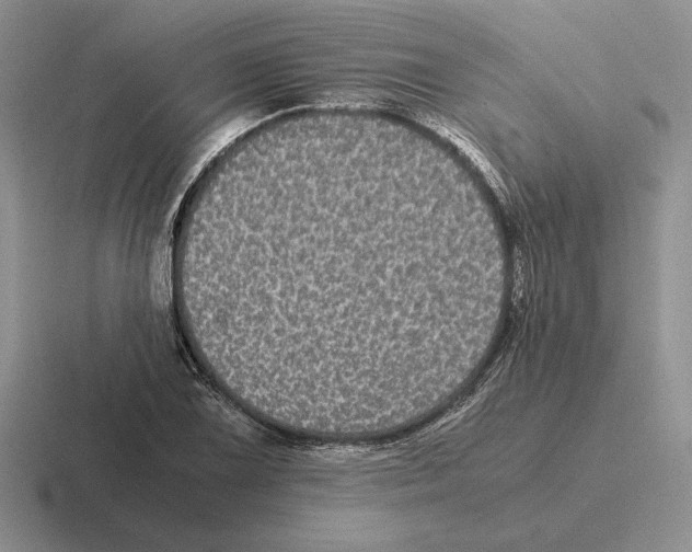 X0000116441075201001051200