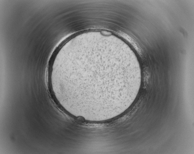 X0000116441076201001051200