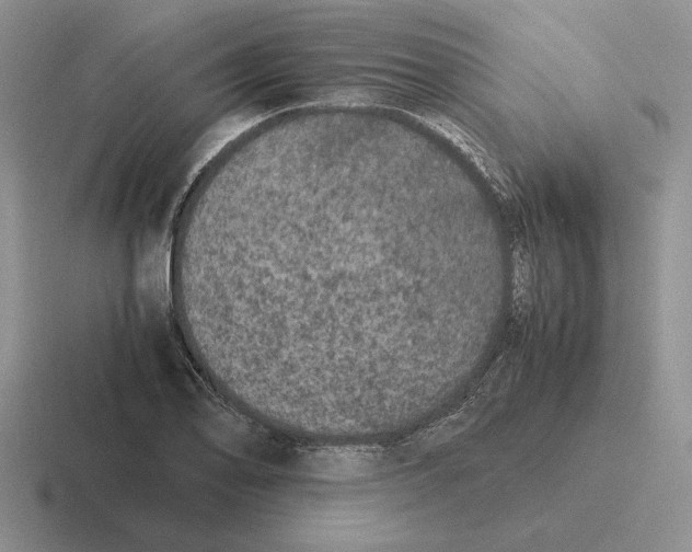 X0000116441078201001051200