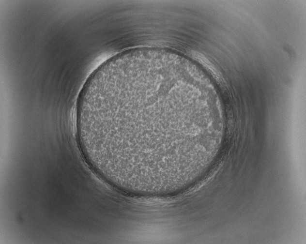 X0000116441079201001051200