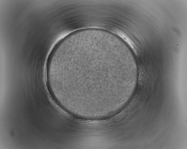 X0000116441080201001051200