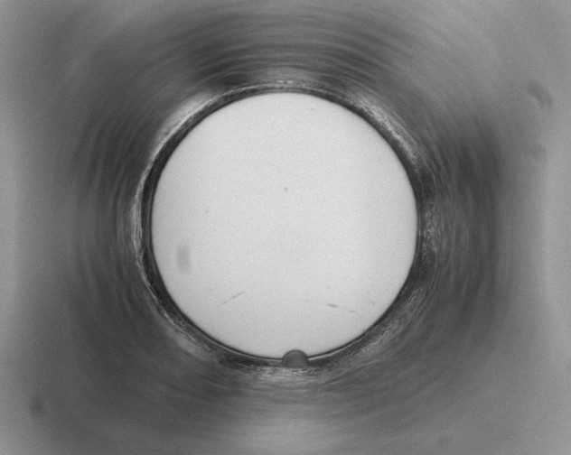 X0000116441082201001051200