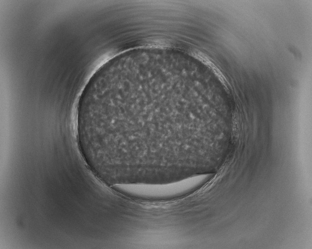 X0000116441083201001051200