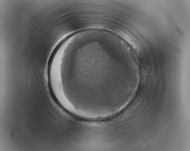 X0000116441084201001051200