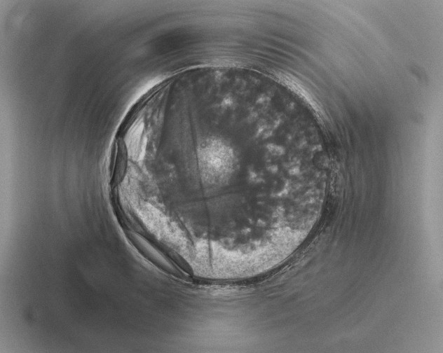 X0000116441087201001051200