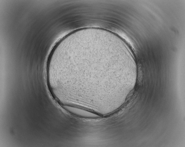 X0000116441088201001051200