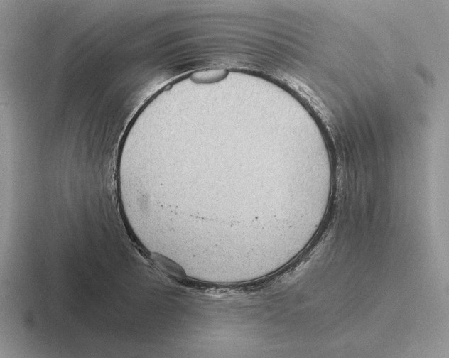 X0000116441089201001051200