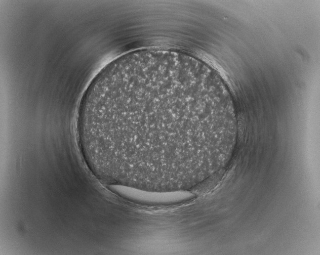 X0000116441091201001051200