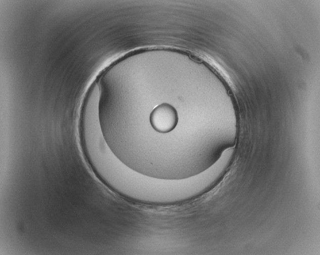 X0000116441093201001051200