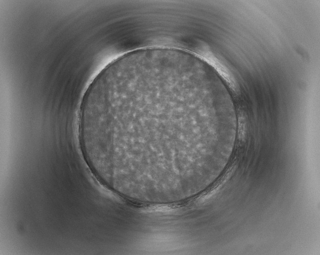 X0000116441094201001051200