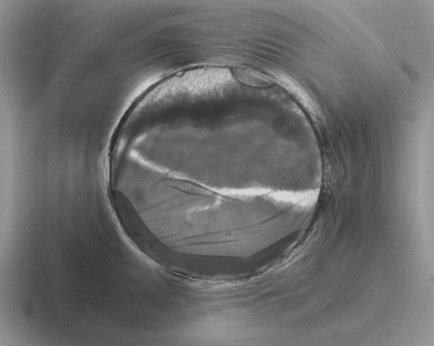 X0000116441095201001051200