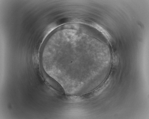 X0000116441097201001051200