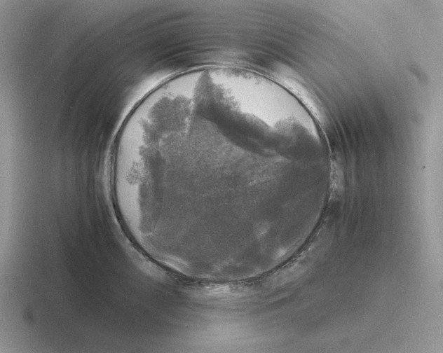 X0000116441098201001051200