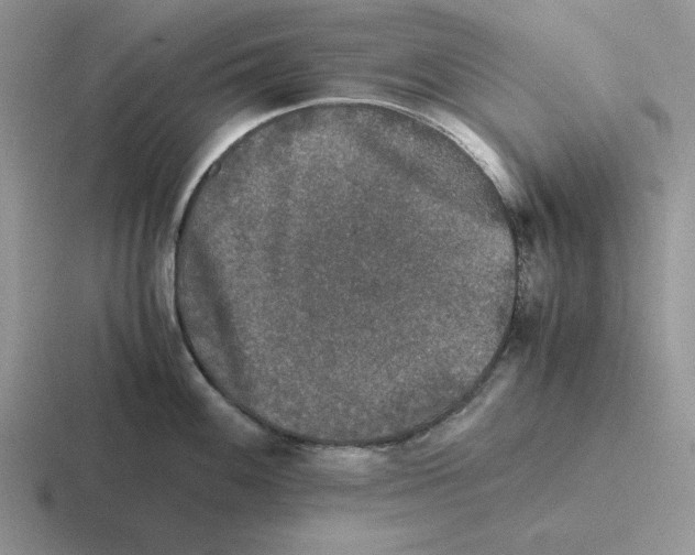 X0000116441100201001051200