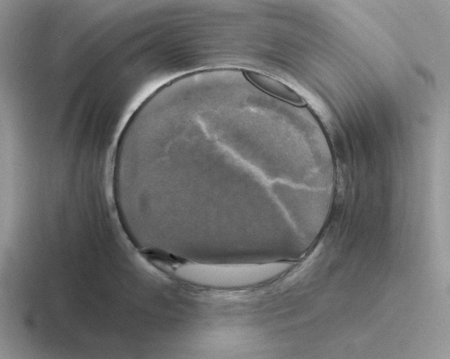 X0000116441102201001051200