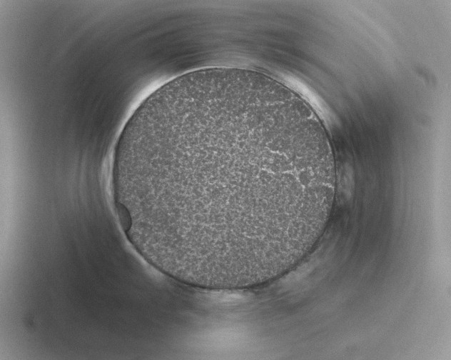 X0000116441103201001051200