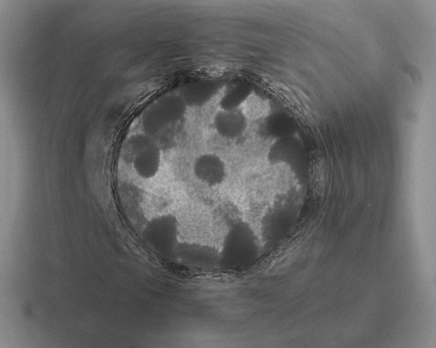 X0000116441105201001051159