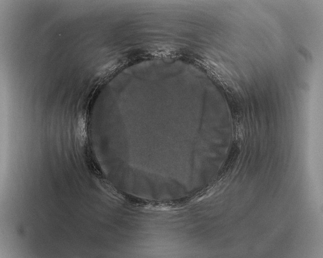 X0000116441106201001051159