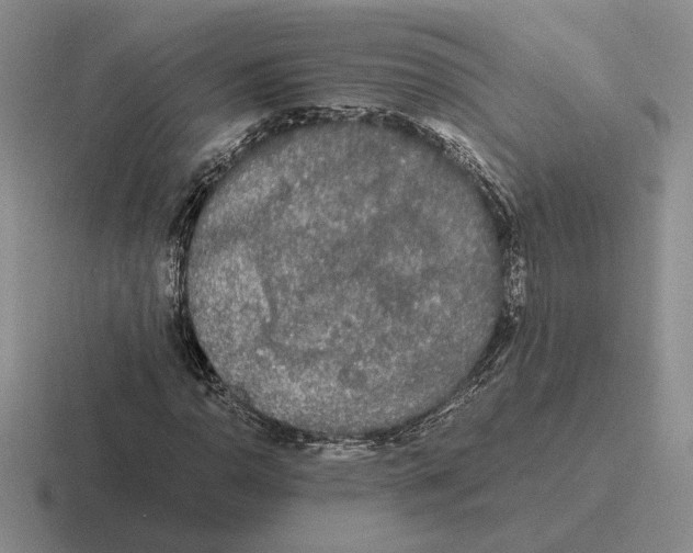 X0000116441110201001051159