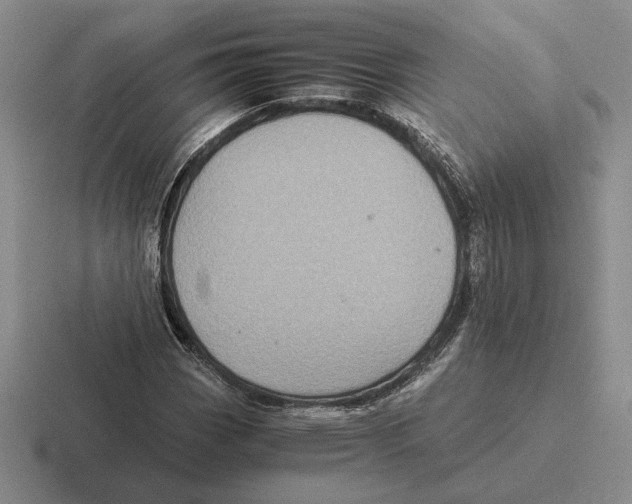 X0000116441113201001051159