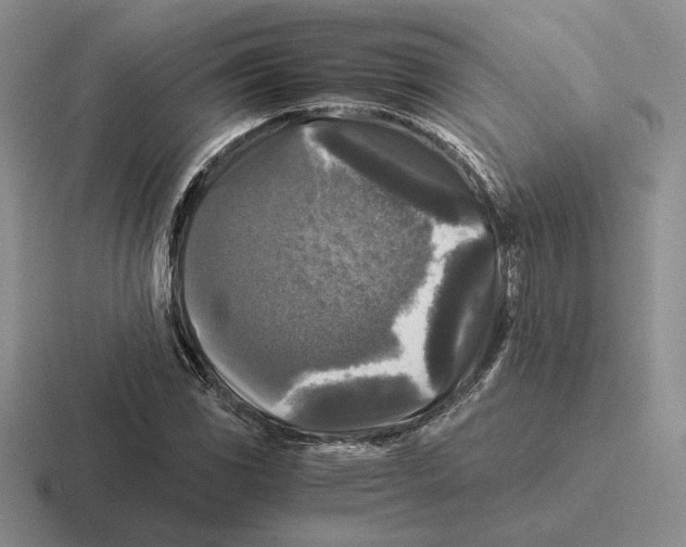 X0000116441117201001051159