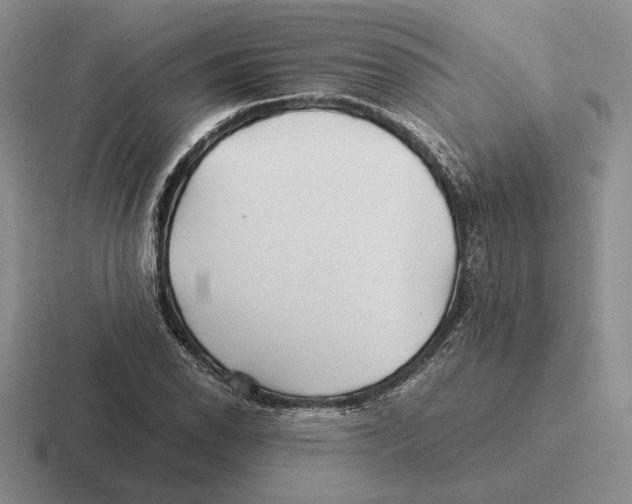 X0000116441118201001051159