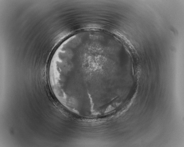 X0000116441121201001051159