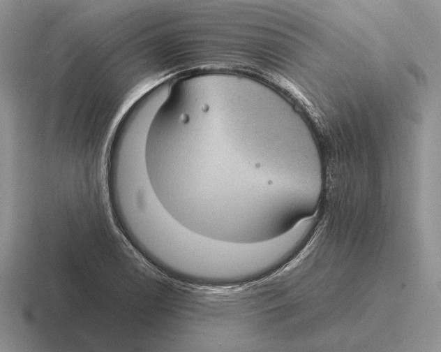 X0000116441122201001051159