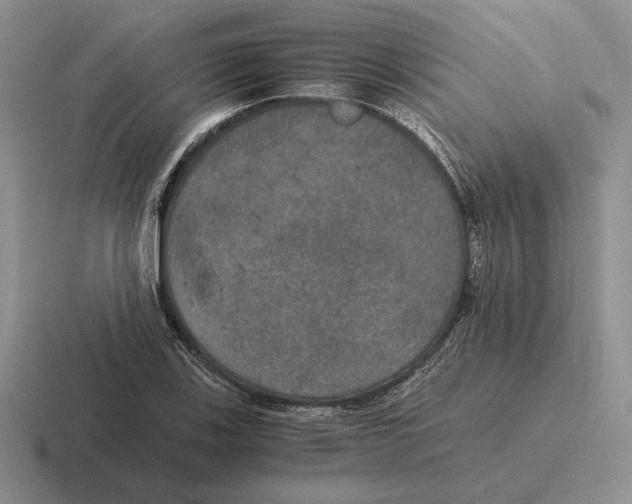 X0000116441123201001051159