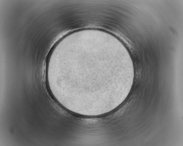 X0000116441126201001051159