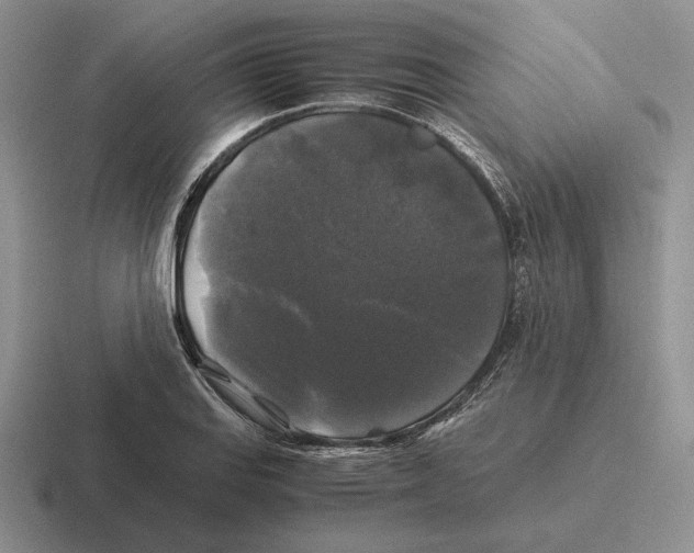 X0000116441127201001051159