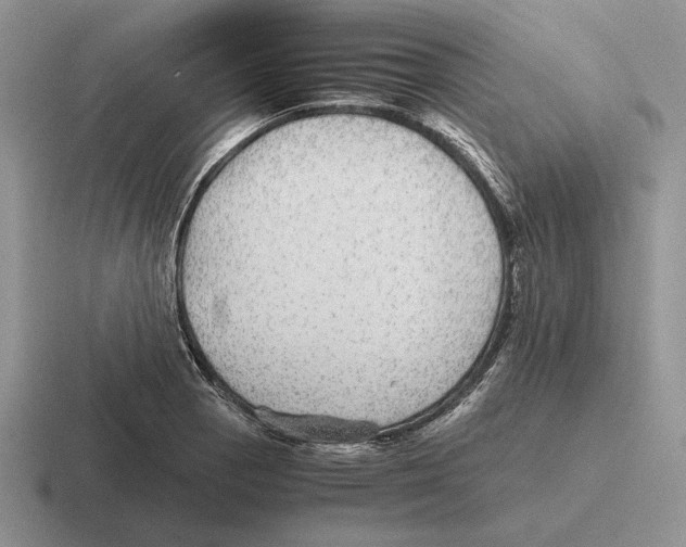 X0000116441129201001051159